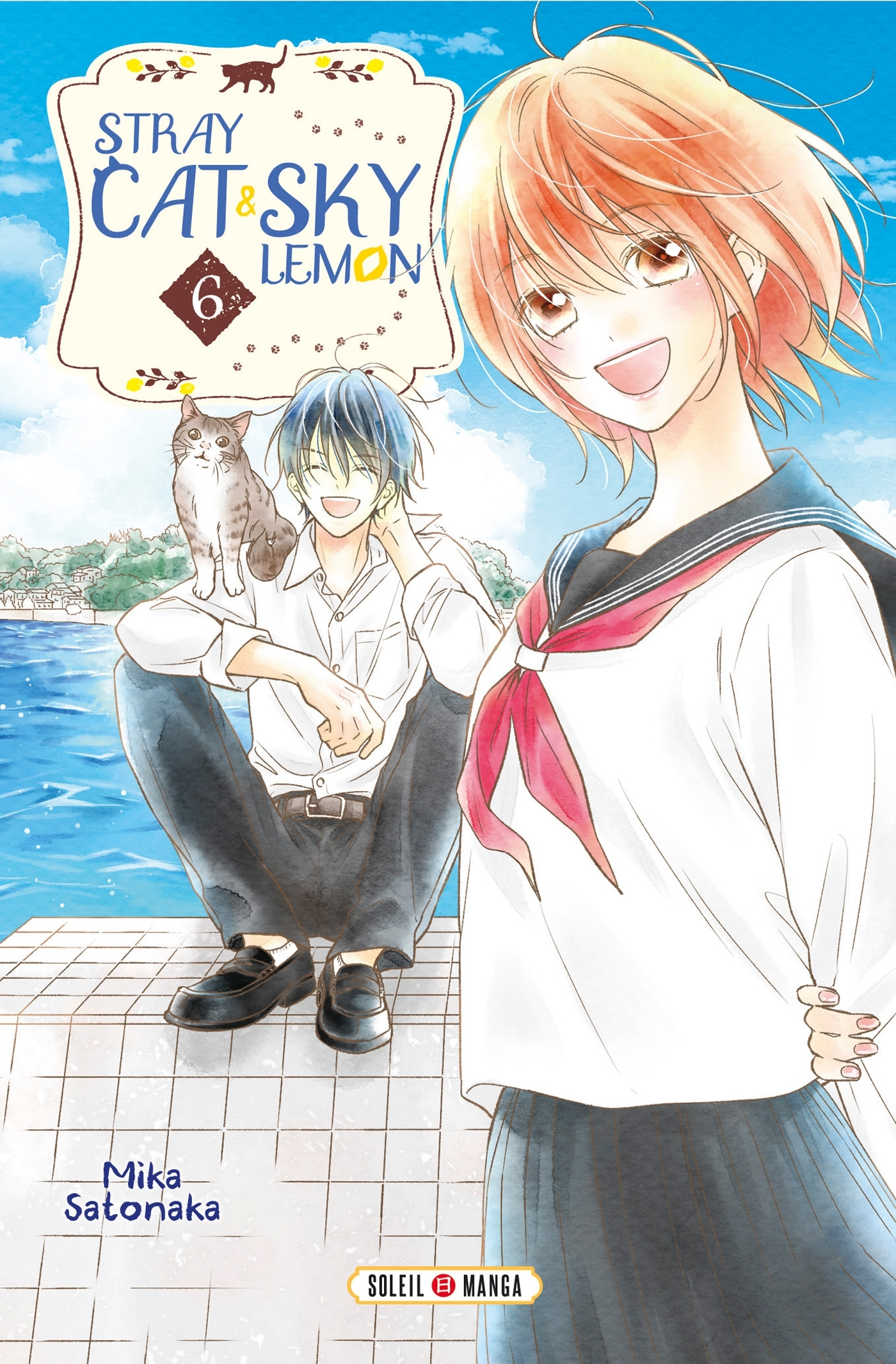 STRAY CAT AND SKY LEMON T06