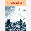 1914- Mamadou -1918 - Un Tirailleur Dans La Folie Des Toubabs