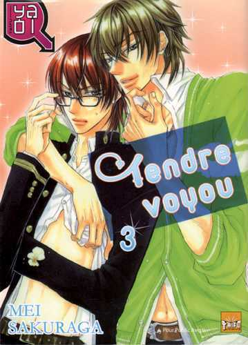 Tendre Voyou T03