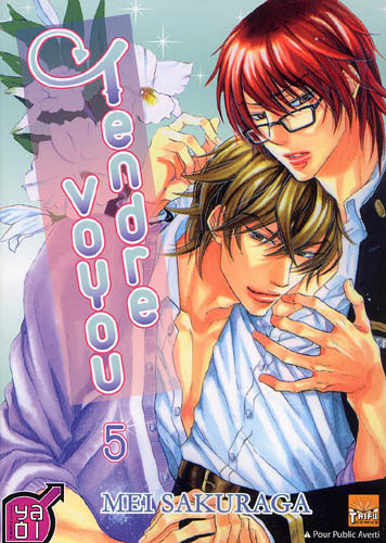 Tendre Voyou T05