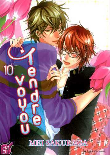 Tendre Voyou T10