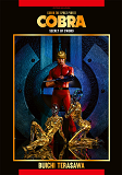 T09 - Cobra - Secret Of Sword