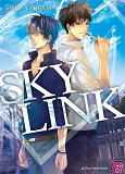 Sky Link