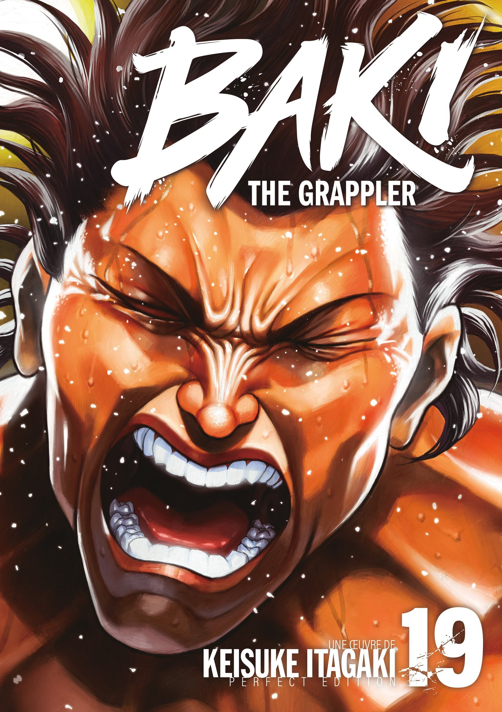 BAKI THE GRAPPLER - TOME 19 - PERFECT EDITION