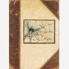Le Livre De Fees Sechees De Lady Cottington