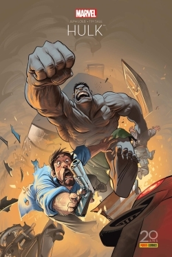 Hulk Gris Ed 20 Ans