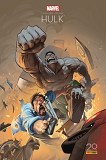 Hulk Gris Ed 20 Ans