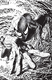 Spider-Man N 9 Variant Angouleme