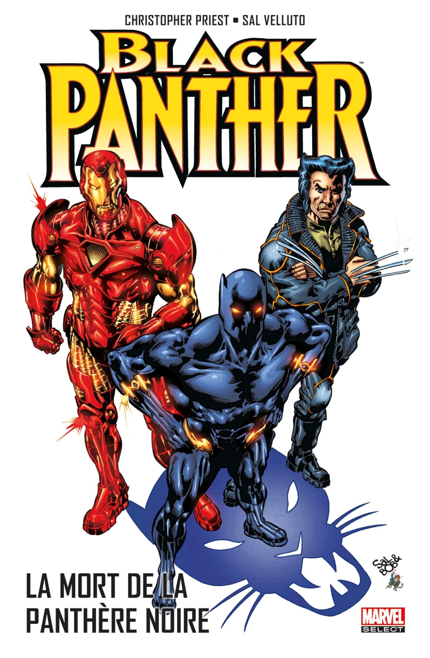 Black Panther Par Christopher Priest T04