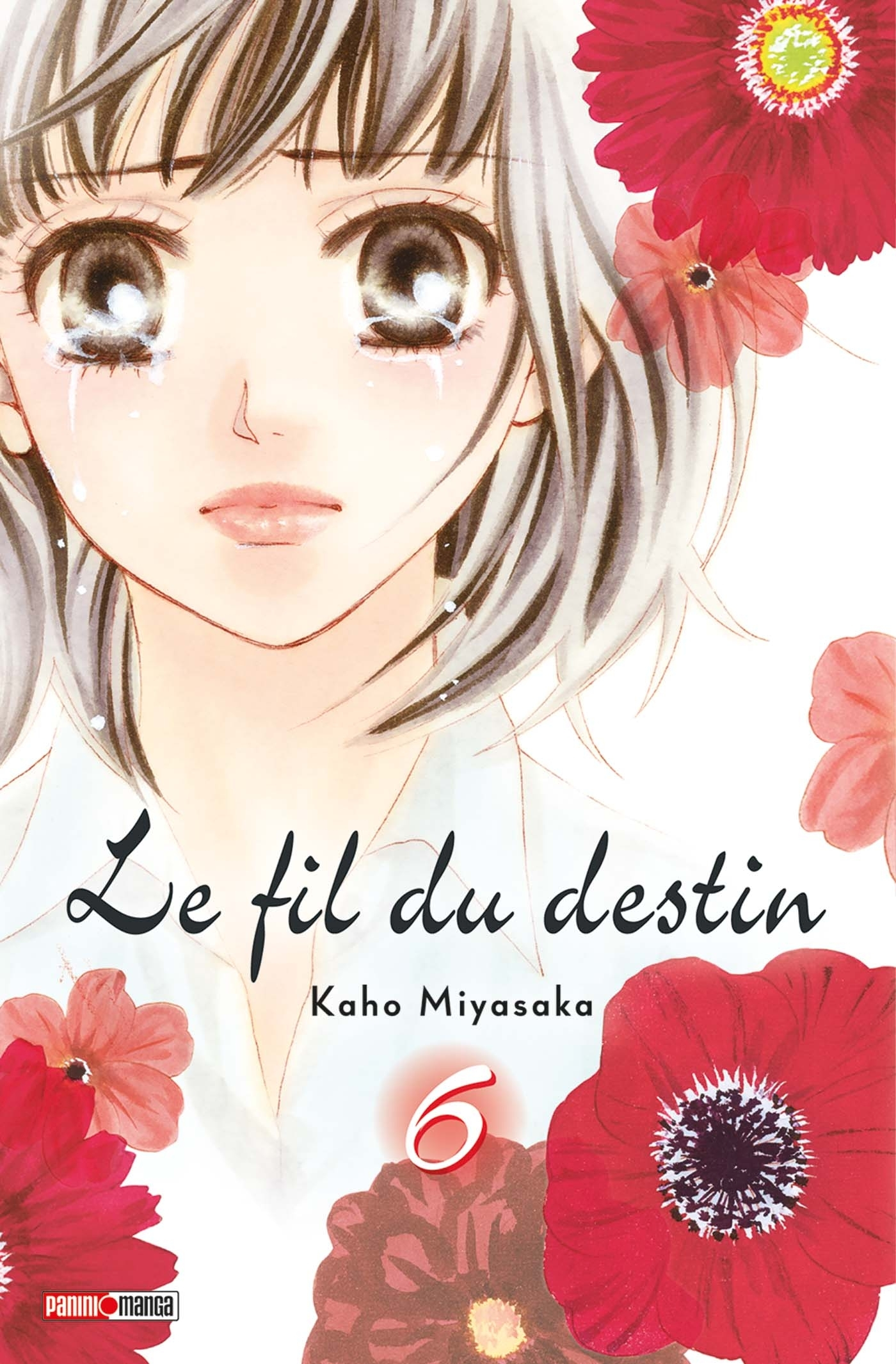 Le Fil Du Destin T06 / T07 (Tome Double)