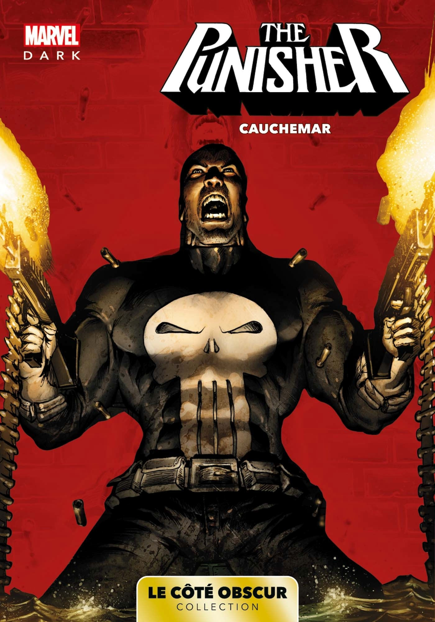 Marvel Dark: Le Cote Obscur T07 - Punisher