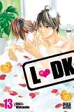 Ldk T13