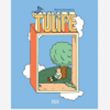 Tulipe