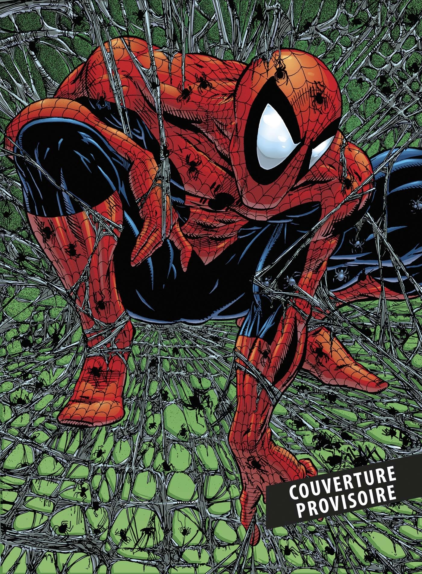 SPIDER-MAN : TOURMENTS