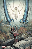 MARVEL COMICS N 10 (VARIANT - TIRAGE LIMITE) - COMPTE FERME